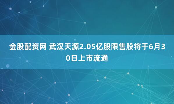 金股配资网 武汉天源2.05亿股限售股将于6月30日上市流通