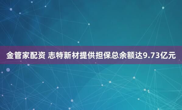 金管家配资 志特新材提供担保总余额达9.73亿元