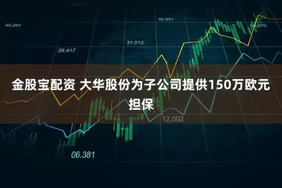 金股宝配资 大华股份为子公司提供150万欧元担保