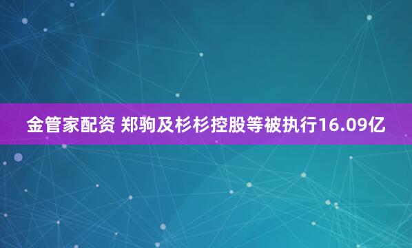 金管家配资 郑驹及杉杉控股等被执行16.09亿