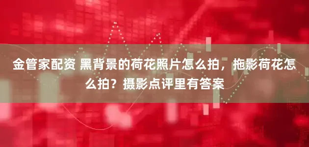 金管家配资 黑背景的荷花照片怎么拍，拖影荷花怎么拍？摄影点评里有答案