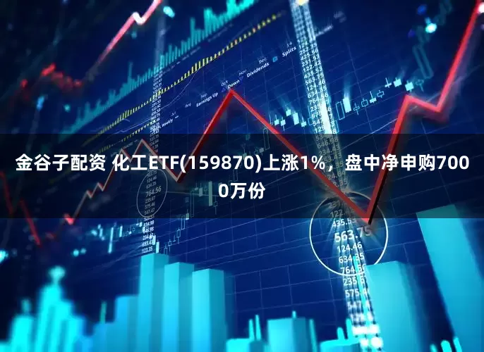 金谷子配资 化工ETF(159870)上涨1%，盘中净申购7000万份