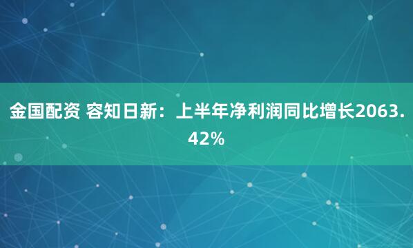 金国配资 容知日新:上半年净利润同比增长2063.42%