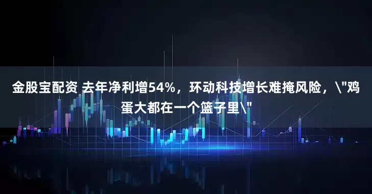 金股宝配资 去年净利增54%，环动科技增长难掩风险，